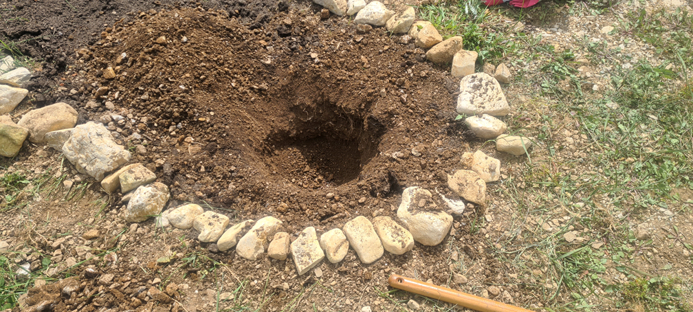 2025.05.25 - Plantation d'arbustes dans la partie nord du jardin (1)